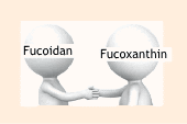 fucoidan with fucoxanthin